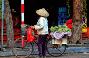 Hanoi (9)